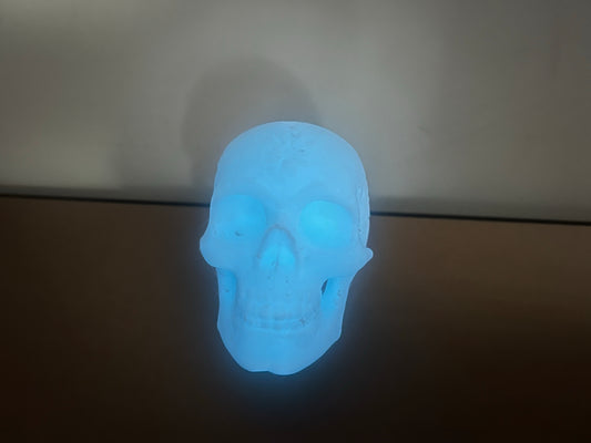 Decorative Skull